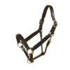 Tory Padded Leather Halter With Nickel Hardware