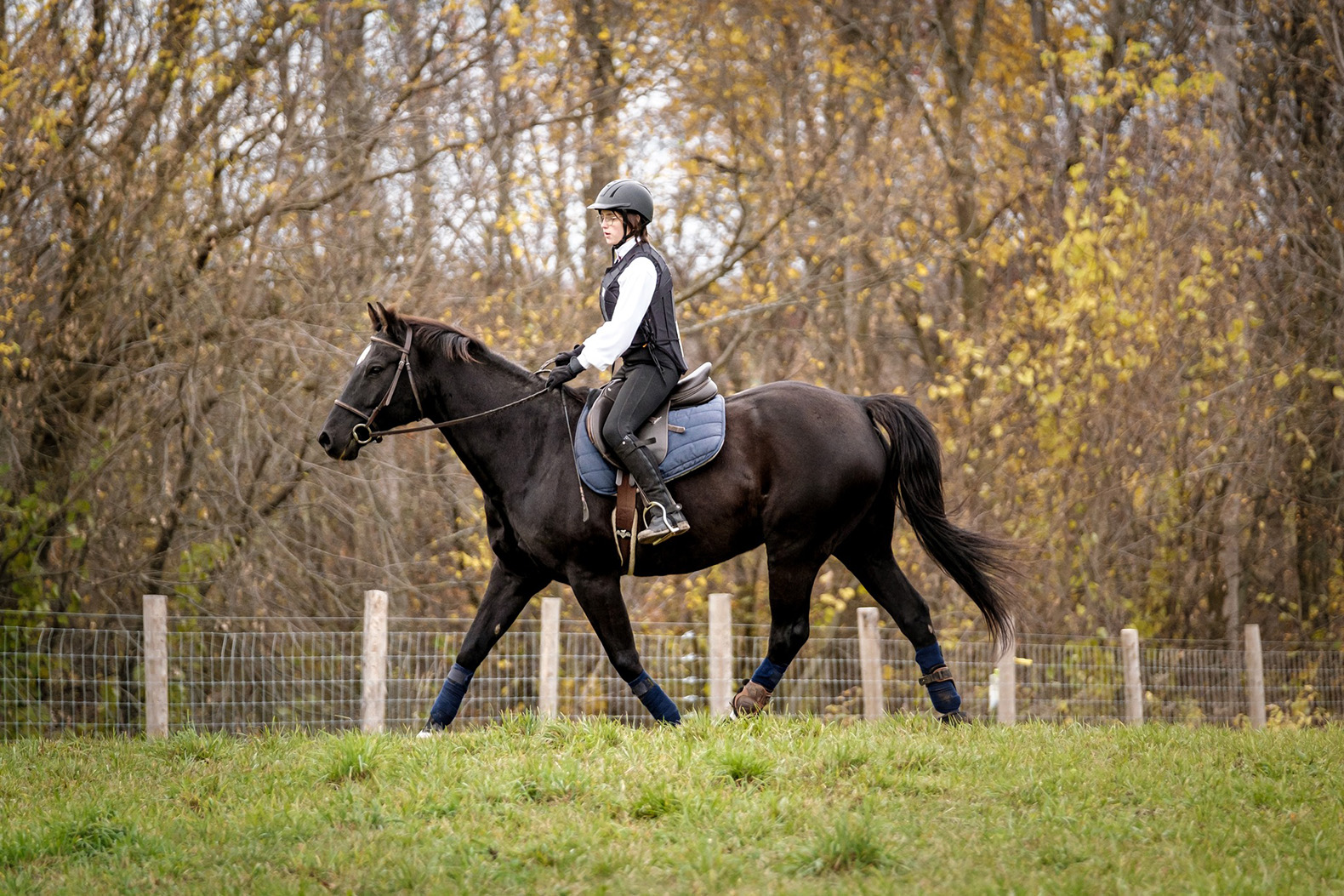 Horse Trail Haven Sales Store -Horse Trail Haven Sales Store 396236255 826652096135310 3451644607151076564 n