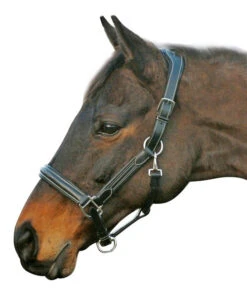 HDR Stress-Free Shaped Crown Halter 5 HDR Stress-Free Shaped Crown Halter -Horse Trail Haven Sales Store 5218 black 27864 26881.1527298209
