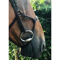 In Horse We Trust Infinity Noseband -Horse Trail Haven Sales Store Infinity noseband havana horse IHWT 65969.1609287135