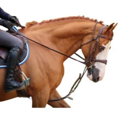 Jump'in Patrick Training Aid -Horse Trail Haven Sales Store Patrick Training Aid2 jumpin 06200.1645562222