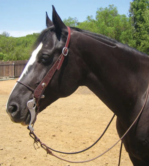 Mikmar Training Bit 1 Mikmar Training Bit