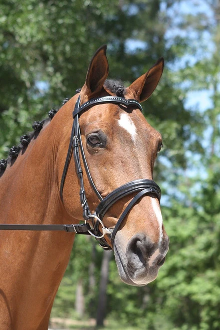 KL Select Italia Pirouette Snaffle Bridle 1 KL Select Italia Pirouette Snaffle Bridle