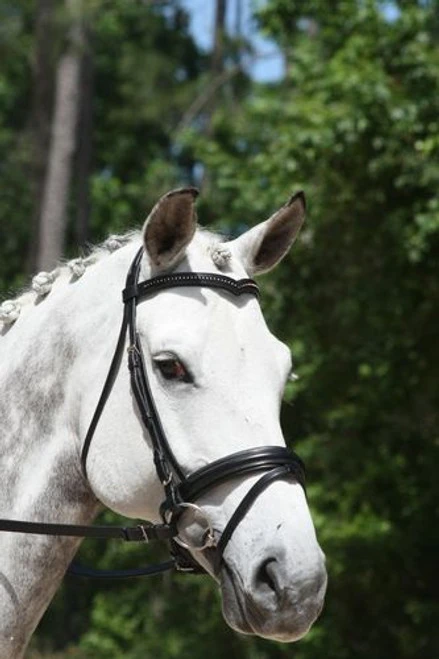 KL Select Italia Pirouette Snaffle Bridle 2 KL Select Italia Pirouette Snaffle Bridle - Image 2