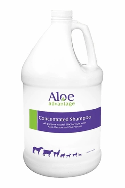 Aloe Advantage Concentrated Shampoo - Gallon 2 Aloe Advantage Concentrated Shampoo - Gallon - Image 2