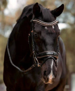 Halter Ego Aurelia Rose Gold Snaffle Bridle -Horse Trail Haven Sales Store aurelia rose gold snaffle bk.pt rsgd front AURELIA SNAFFLE FULL halter ego 79573.1682705558