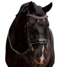 Halter Ego Aurelia Rose Gold Snaffle Bridle -Horse Trail Haven Sales Store aurelia rose gold snaffle bk.pt rsgd front halter ego 39370.1682705586