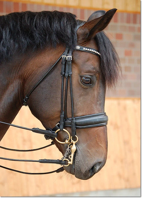 Dy'on Large Crank Double Bridle 2 Dy'on Large Crank Double Bridle - Image 2