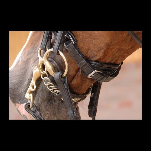 Dy'on Large Crank Double Bridle 3 Dy'on Large Crank Double Bridle - Image 3