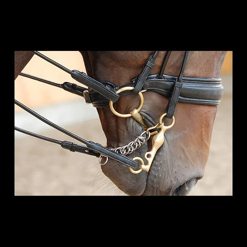 Dy'on Large Crank Double Bridle 1 Dy'on Large Crank Double Bridle