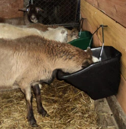 Little Giant 20 Quart Better Bucket -Horse Trail Haven Sales Store better bucket 20qt black goat BB20BLACK little giant 69563.1677811936