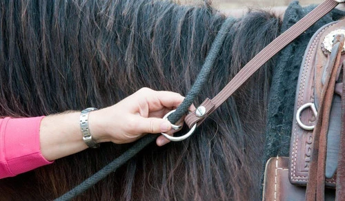 BOOMA Rein Safety Rein 6 BOOMA Rein Safety Rein - Image 6