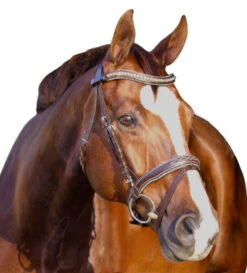 Halter Ego Crystal Jumper Bridle -Horse Trail Haven Sales Store crystal jumper bridle flash halter ego 1 58984.1690316915