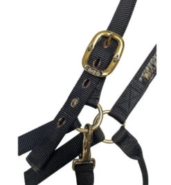 Big D Nylon Draft Halter - Snap + Adjustable Chin -Horse Trail Haven Sales Store draft halter black hardware big d mtf 63256.1649965248