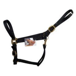 Big D Nylon Draft Halter - Snap + Adjustable Chin -Horse Trail Haven Sales Store draft halter black side big d mtf 52393.1649965225