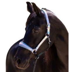 Halter Ego Elsa Halter 7 Halter Ego Elsa Halter -Horse Trail Haven Sales Store elsa halter neon.blue halter ego 47152.1682705317