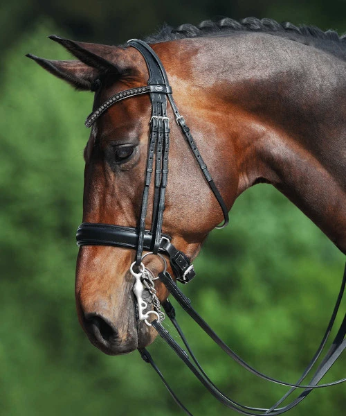 Passier Fortuna Double Bridle 1 Passier Fortuna Double Bridle