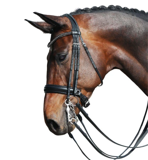 Passier Fortuna Double Bridle 4 Passier Fortuna Double Bridle - Image 4
