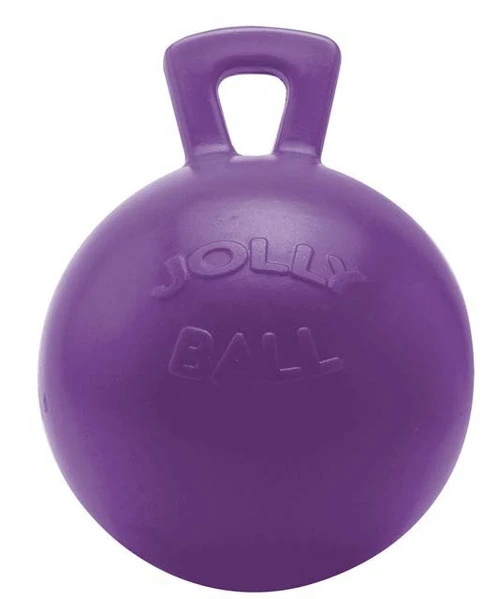 Jolly Ball Horse Toy 1 Jolly Ball Horse Toy