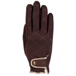 Roeckl Sports Roeckl Julia Winter Gloves 6 Roeckl Sports Roeckl Julia Winter Gloves -Horse Trail Haven Sales Store julia glove mocha brown roeckl 31690.1638394061