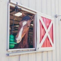Kong Equine Hanging Kit Horse Toy 11 Kong Equine Hanging Kit Horse Toy -Horse Trail Haven Sales Store kong hanging standard green window kong equine 56075.1638045204