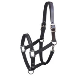 Schockemohle Memphis Fleece Lined Halter 7 Schockemohle Memphis Fleece Lined Halter -Horse Trail Haven Sales Store memphis breakaway black 1311 00020 schockemoehle 55437.1650664913