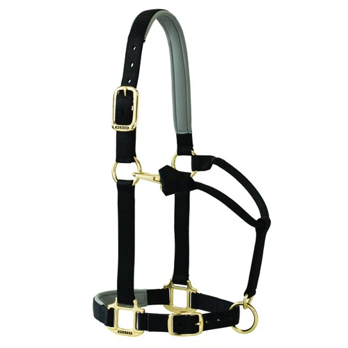 Weaver Leather Weaver Padded Adjustable Halter 2 Weaver Leather Weaver Padded Adjustable Halter - Image 2