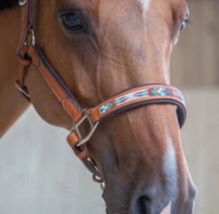 PÉNÉLOPE Pénélope Pearl Leather Halter -Horse Trail Haven Sales Store pearl halter cognac noseband1 510 311 302 penelope 65794.1688687941