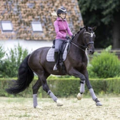 LeMieux Polo Bandages 11 LeMieux Polo Bandages -Horse Trail Haven Sales Store polo bandages grey horse 9839 lemieux 08848.1670613727