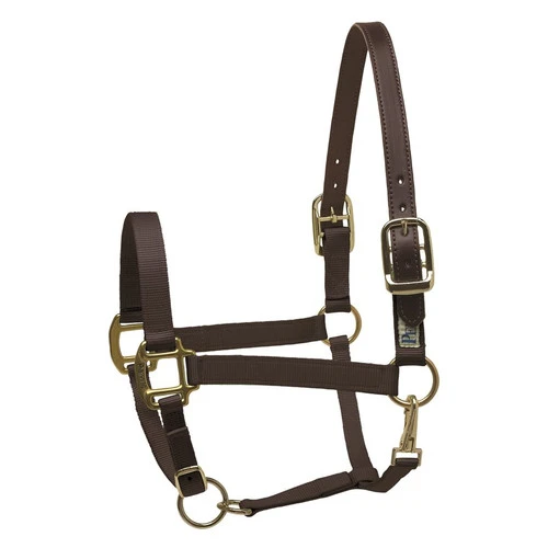 Perri's Premium Nylon Safety Halter 1 Perri's Premium Nylon Safety Halter