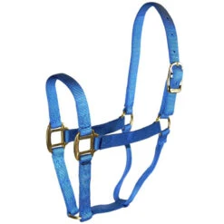 Hamilton Quality 1" Nylon Halter -Horse Trail Haven Sales Store quality 1in nylon halter berry blue 1Q BY hamilton 67147.1685665703