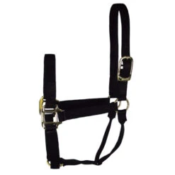 Hamilton Quality 1" Nylon Halter -Horse Trail Haven Sales Store quality 1in nylon halter black 1Q hamilton 13858.1685665721