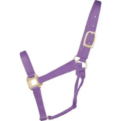 Hamilton Quality 1" Nylon Halter -Horse Trail Haven Sales Store quality 1in nylon halter lavender 1Q AVLV hamilton 15621.1685665710