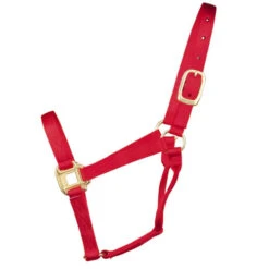 Hamilton Quality 1" Nylon Halter -Horse Trail Haven Sales Store quality 1in nylon halter red 1Q hamilton 12014.1685665705