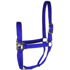 Hamilton Quality 1" Nylon Halter -Horse Trail Haven Sales Store quality 1in nylon halter royal 1Q hamilton 95898.1685665741