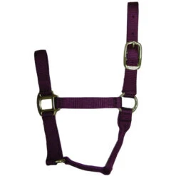 Hamilton Quality 1" Nylon Halter -Horse Trail Haven Sales Store quality 1in nylon halter wine 1QWN hamilton 54194.1685665738