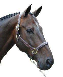 Red Barn Kate Fancy Stitch Halter -Horse Trail Haven Sales Store red barn kate halter brown brass W kl select 63727.1682796912