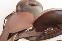 Circle Y Sheridan Flex2 Trail Saddle 1572 -Horse Trail Haven Sales Store sheridan left 1572 circle y 77884.1572395404