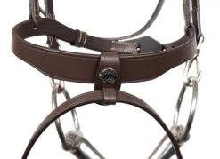 Signature By Antarès Training Bridle -Horse Trail Haven Sales Store signature training bridle brown noseband SIGOB BRD2 atares 00196.1674091341