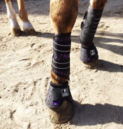 Majyk Equipe Sport/Dressage Boots -Horse Trail Haven Sales Store sportdressagepurple 83089 87931.1527295834