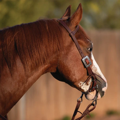 Weaver Leather Weaver Southwest Square One Ear Headstall 2 Weaver Leather Weaver Southwest Square One Ear Headstall - Image 2