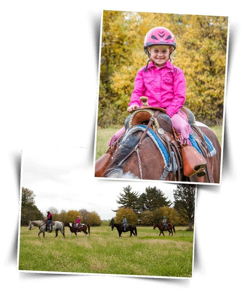 BOOMA Rein Safety Rein 4 BOOMA Rein Safety Rein - Image 4