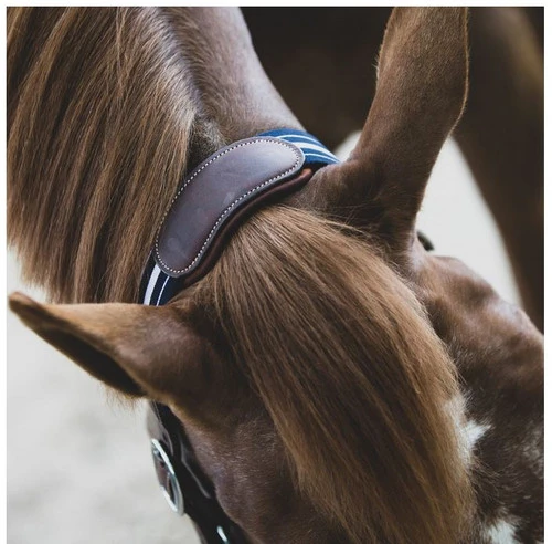 Horse Trail Haven Sales Store 18 Horse Trail Haven Sales Store -Horse Trail Haven Sales Store stressless halter crown antares 08946.1643753932 1