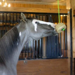 Triple Crown Tether Treat 5 Triple Crown Tether Treat -Horse Trail Haven Sales Store tether treat horse triple crown 83569.1668202731